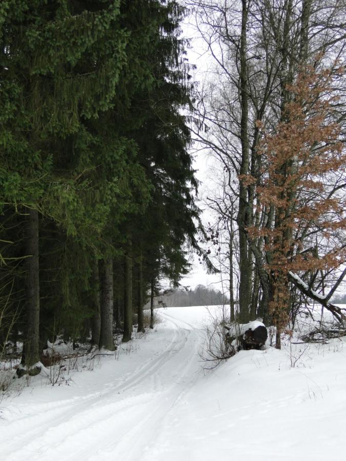 Agroturystyka Zywe Kruklanki Esterno foto
