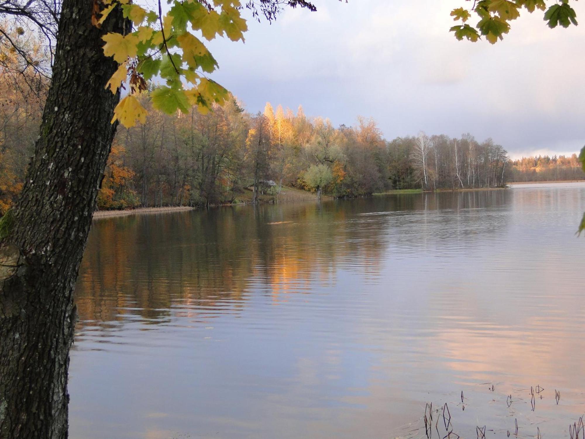 Agroturystyka Zywe Kruklanki Esterno foto