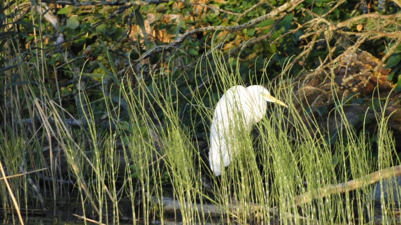 Agroturystyka Zywe Kruklanki Esterno foto