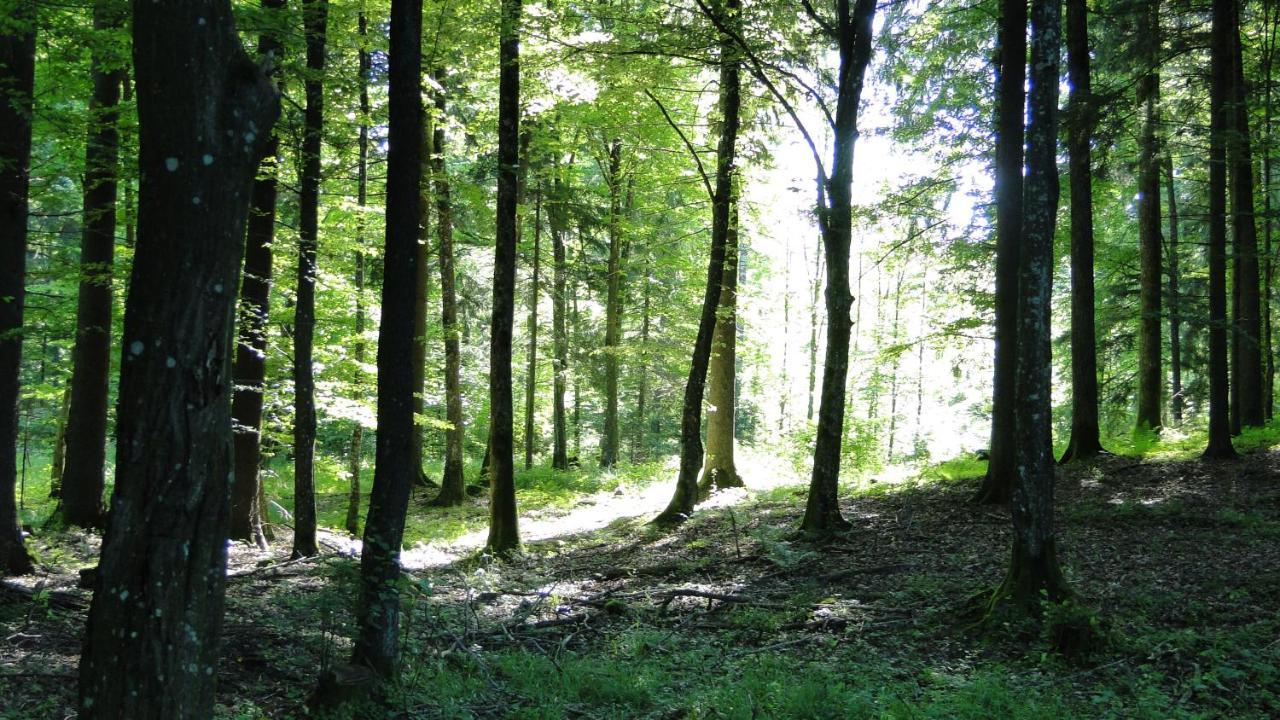 Agroturystyka Zywe Kruklanki Esterno foto