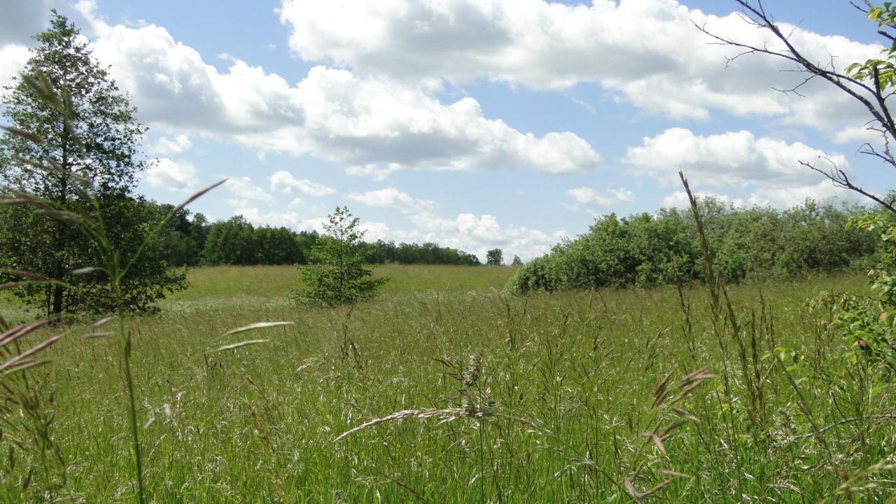 Agroturystyka Zywe Kruklanki Esterno foto