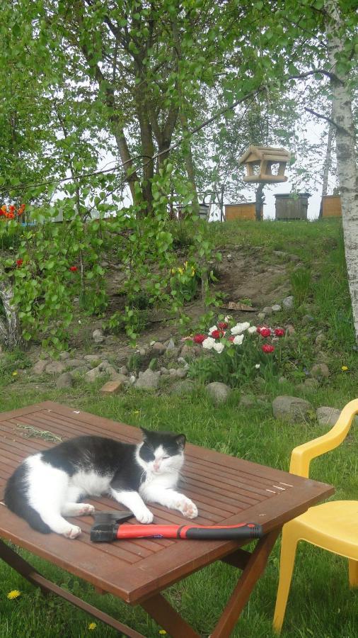Agroturystyka Zywe Kruklanki Esterno foto