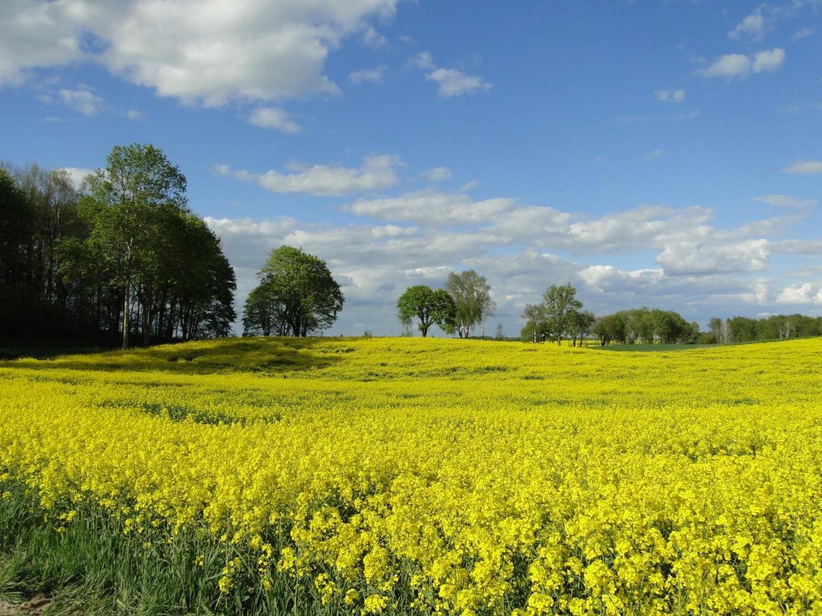 Agroturystyka Zywe Kruklanki Esterno foto