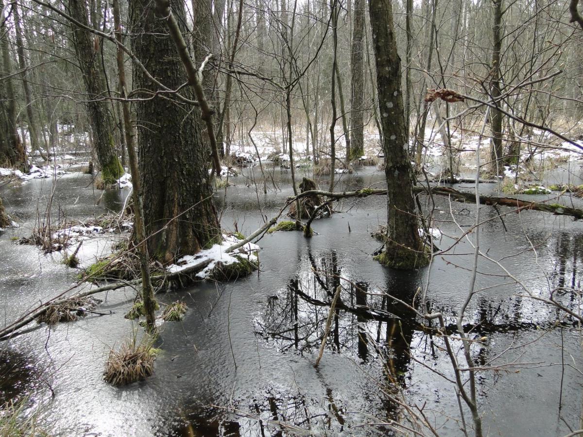 Agroturystyka Zywe Kruklanki Esterno foto