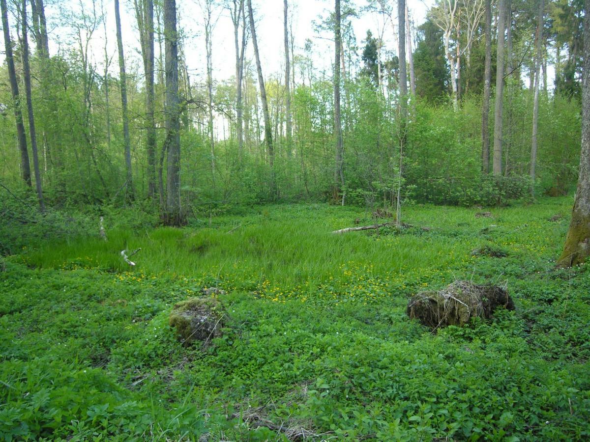 Agroturystyka Zywe Kruklanki Esterno foto