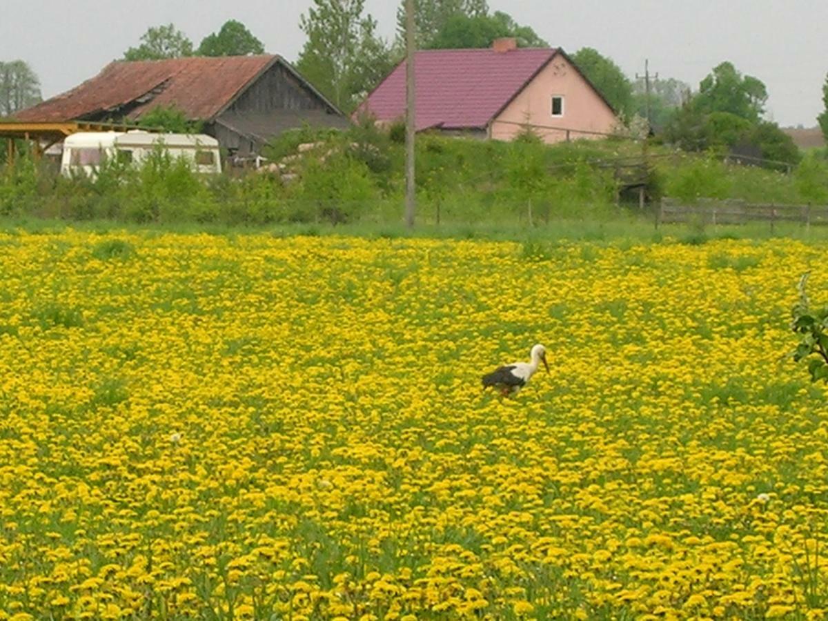 Agroturystyka Zywe Kruklanki Esterno foto